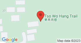 Tso Wo Hang Map
