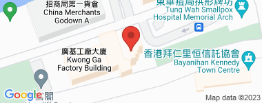 域多利道60号 60 域多利道 高层 (20-29/29楼) 物业地址