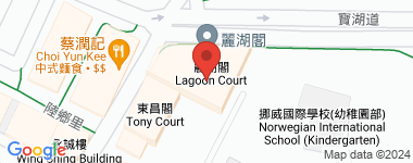 丽湖阁 高层 物业地址