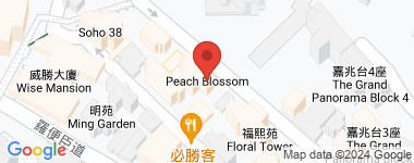 Peach Blossom Vr Floor Plan, High Floor Address