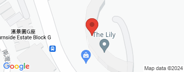 The Lily  Address