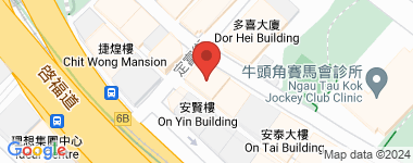 Ting Hing Building Low Floor Address