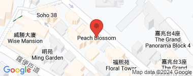 Peach Blossom VR Floor Plan 圖則 高層 物業地址