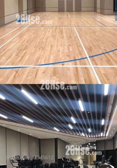 Vibe Centro Rental 1 Bedroom , 1 Bathroom 319 ft²