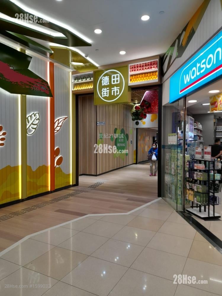 德田邨 租盤 1 房 , 1 浴室 265 平方呎