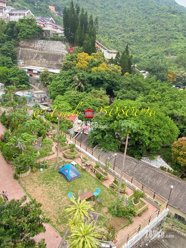 Pai Tau Village Sell 3 bedrooms , 1 bathrooms 800 ft²