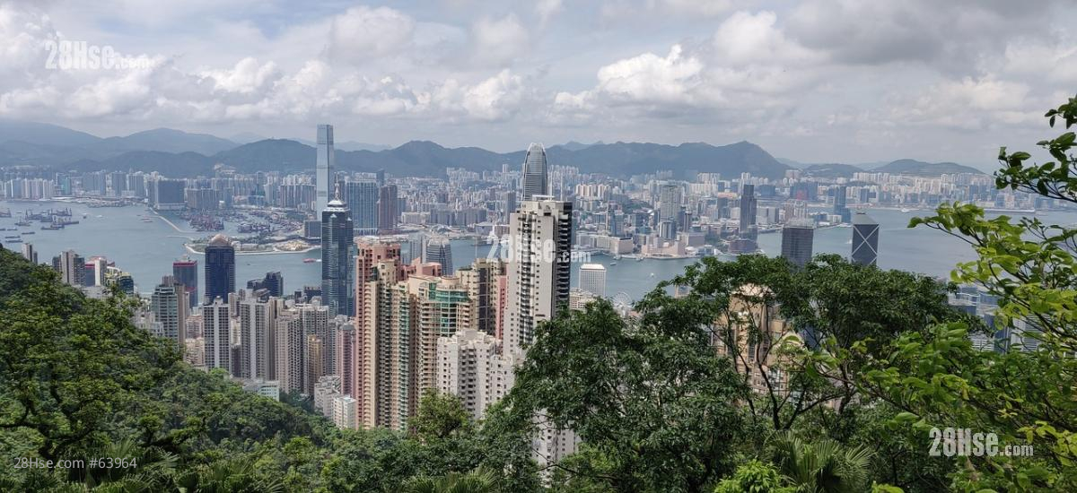 New Residential Projects Surge in Hong Kong, Indicating Robust Market Interest
