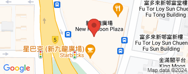 新九龙广场  物业地址