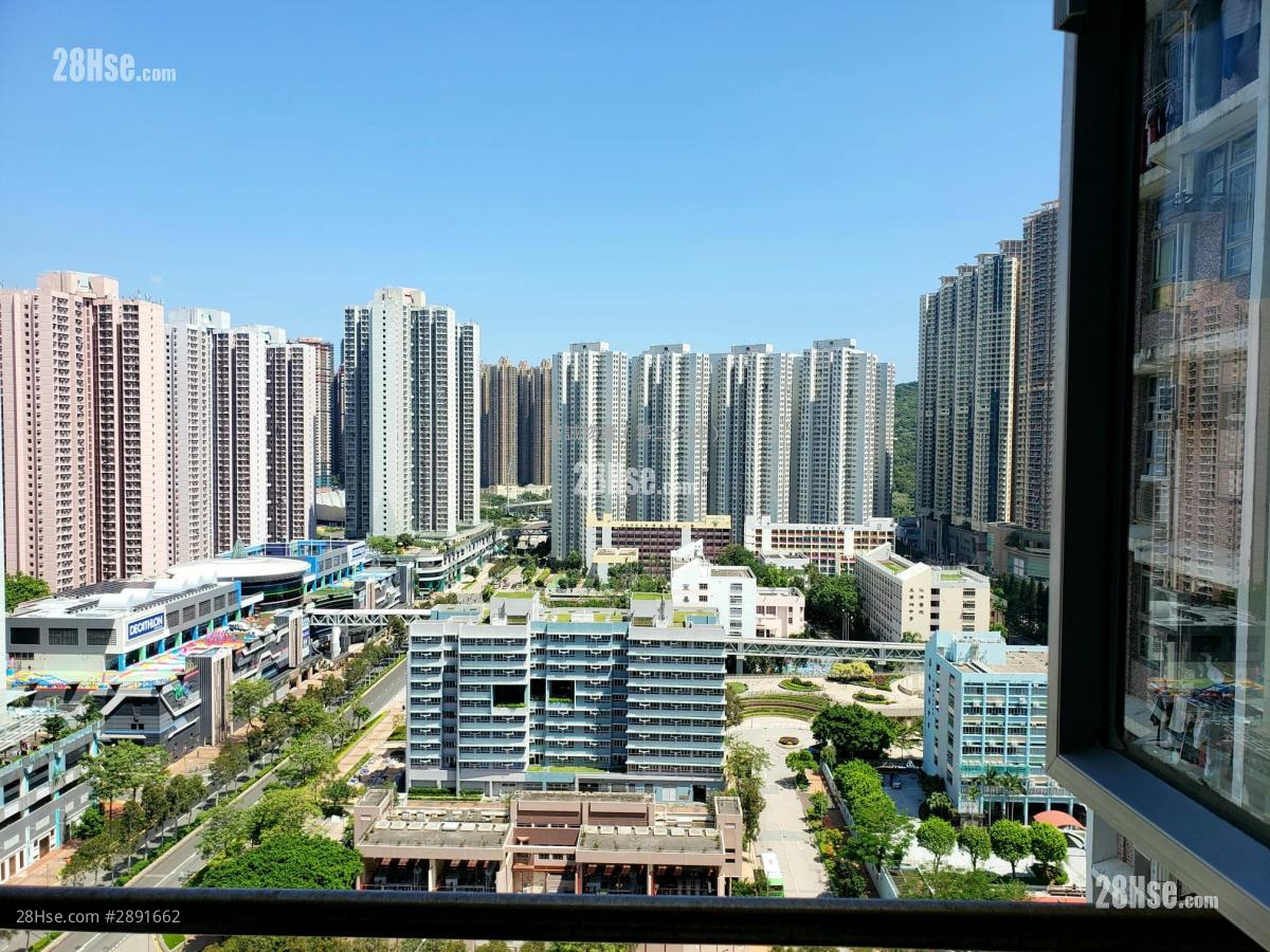 Tong Ming Court Sell 2 bedrooms , 1 bathrooms 535 ft²