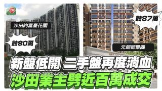 新盤低開 二手盤再度淌血　沙田業主劈近百萬成交