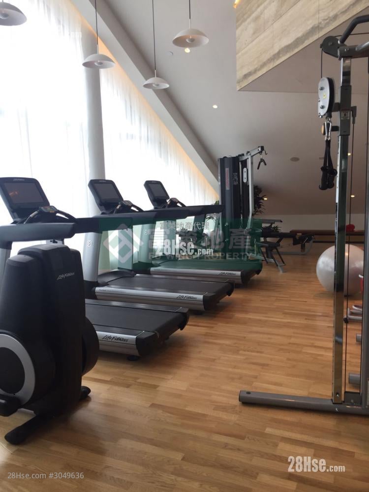 Skypark Rental 316 ft²