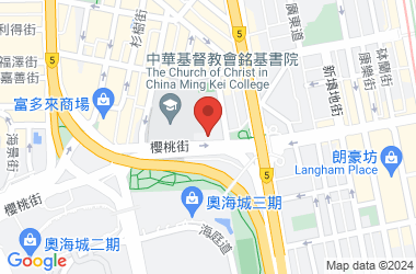 路德會沙崙學校