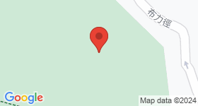 Mount Nicholson 3期 地圖