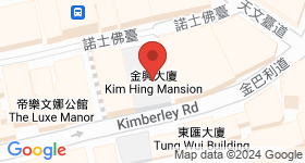 金興大廈 地圖