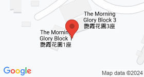 The Morning Glory Map