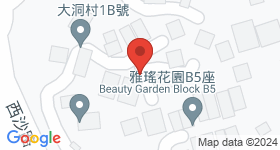 大洞村 地图
