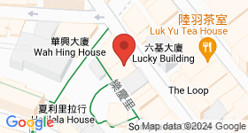 威靈頓街66號 地圖