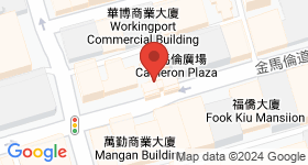 金馬倫道15-17A號 地圖