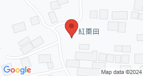 Hugo Tso Tin Village Map