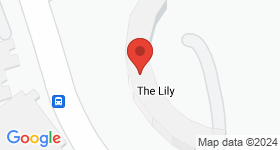 The Lily 地圖