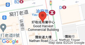 彌敦道519號 地圖