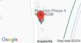 The Blossom PHASE III Map