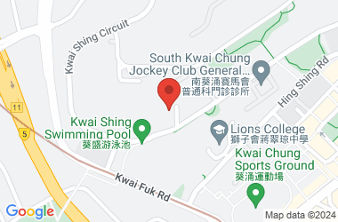 Sam Shui Natives Association Lau Pun Cheung School (primary Section)