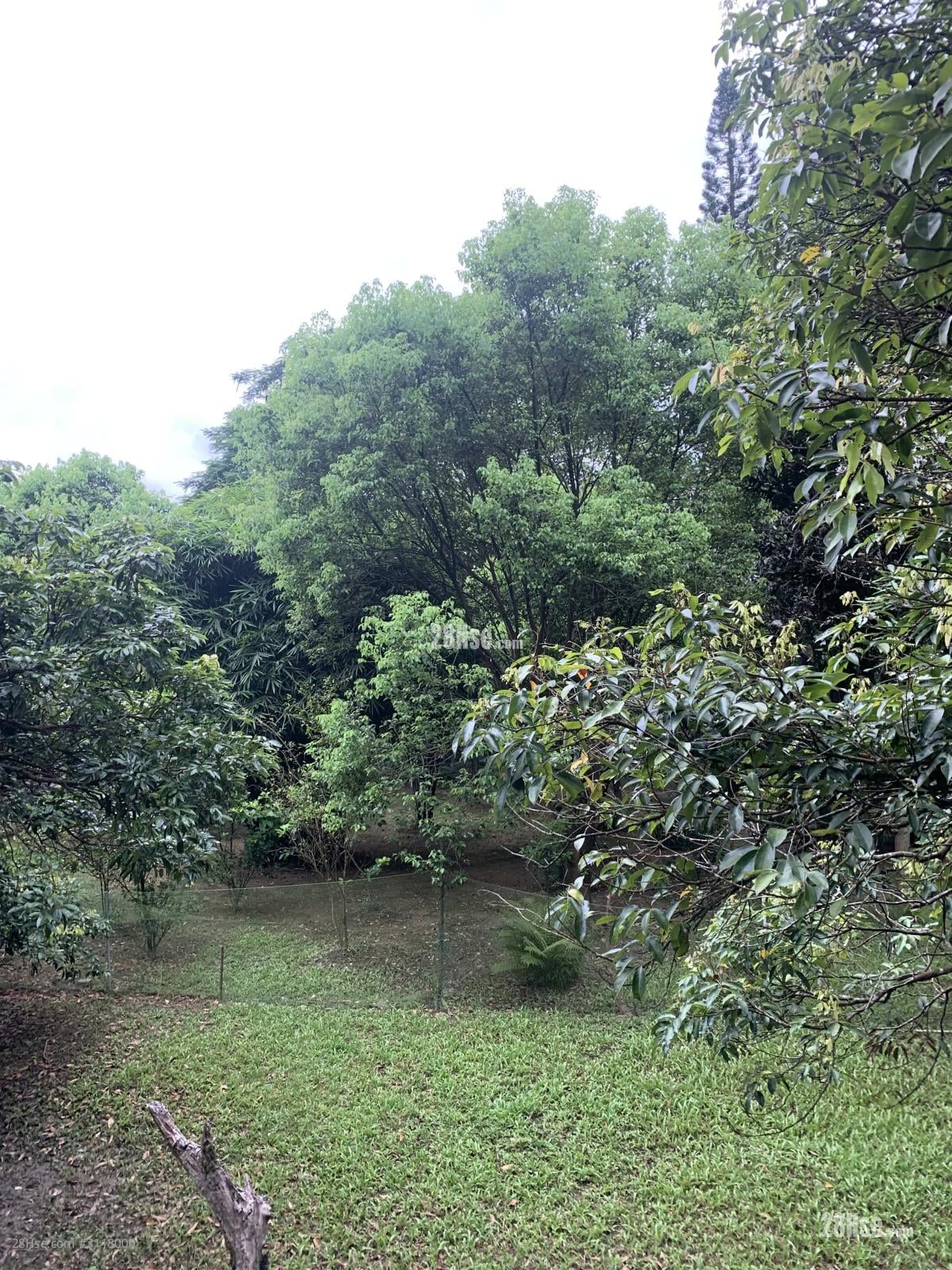 汀九村113 租盘 2 房 , 1 浴室 700 平方尺