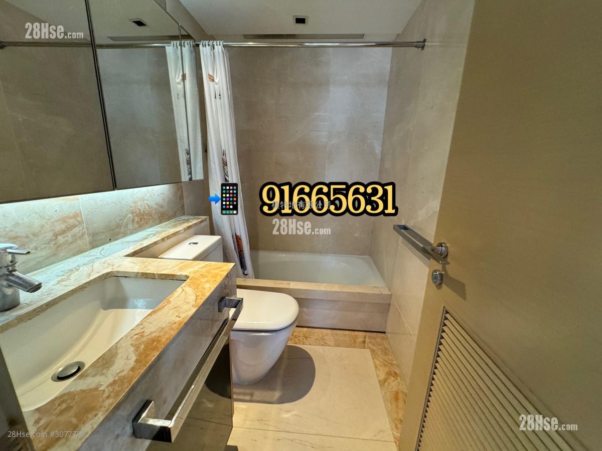 The Latitude Rental 2 Bedrooms , 1 Bathroom 525 ft²