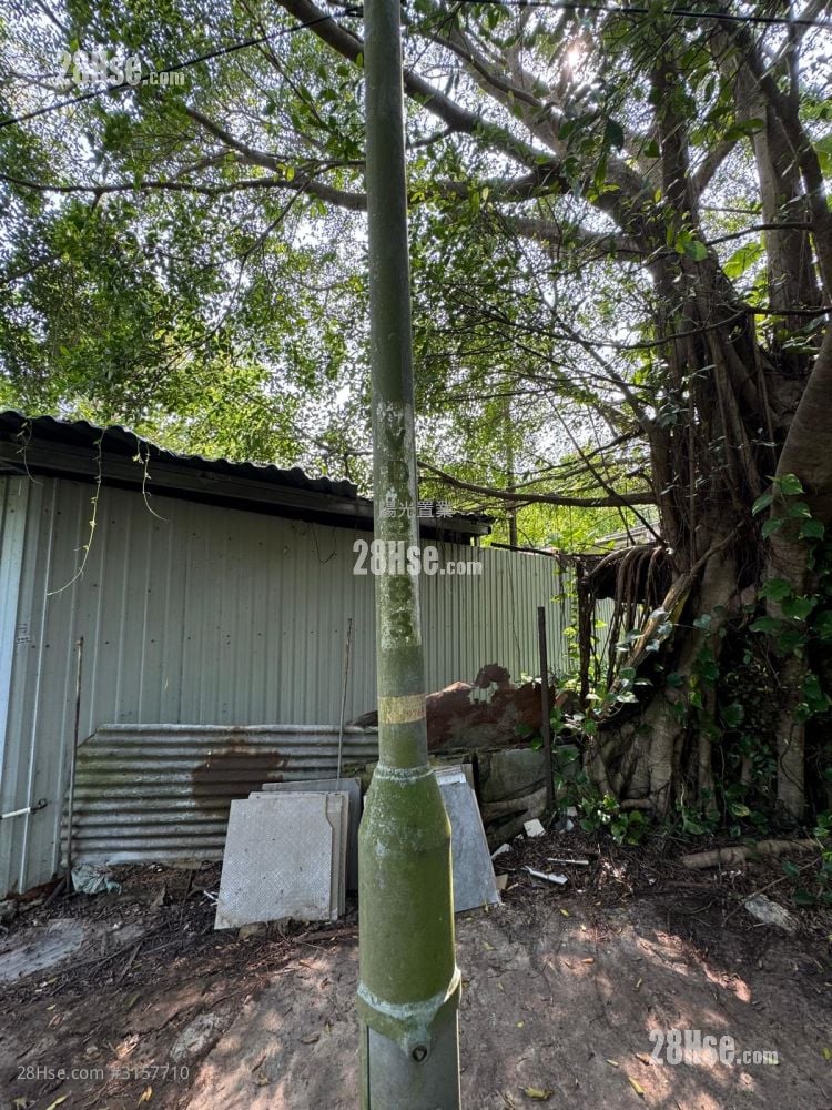 农地 租盘 1 浴室 1,696 平方尺