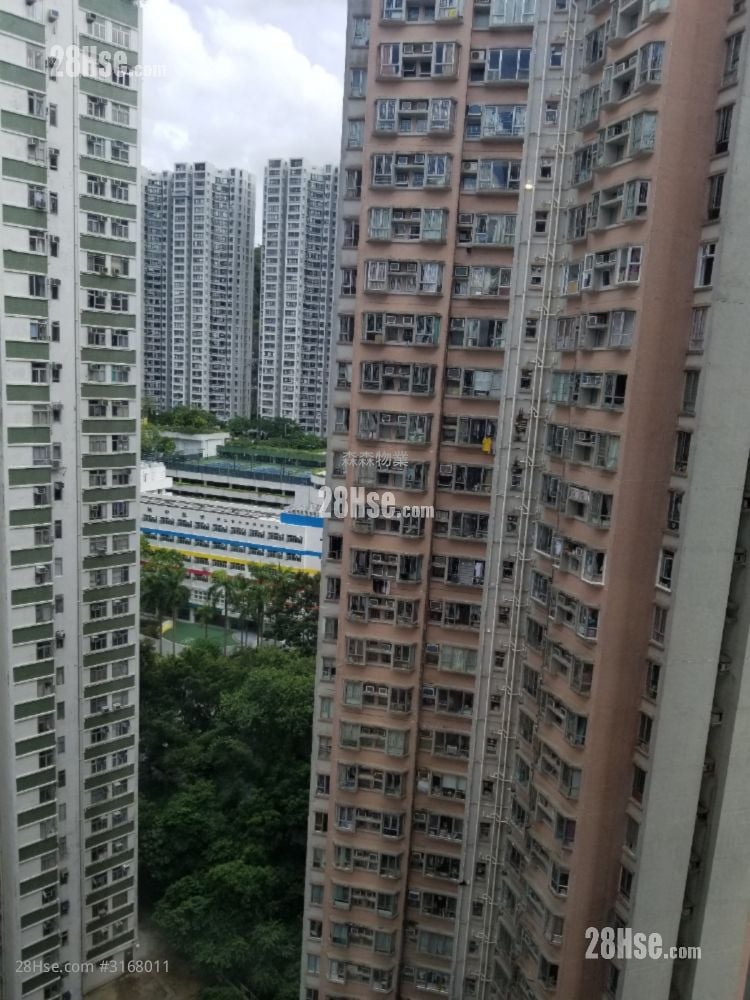 Sai Wan Building Rental 1 Bedroom , 1 Bathroom 226 ft²