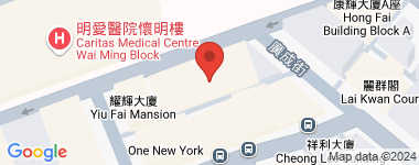 唐楼 58室 低层 物业地址