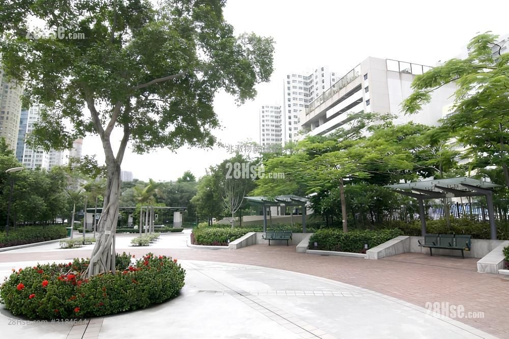 富荣花园 租盘 3 房 , 2 浴室 592 平方尺