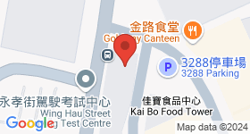 椰林閣集團大廈 地圖