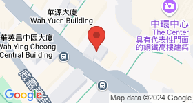 Central 131 地图