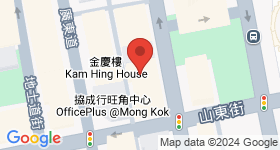新填地街379號 地圖