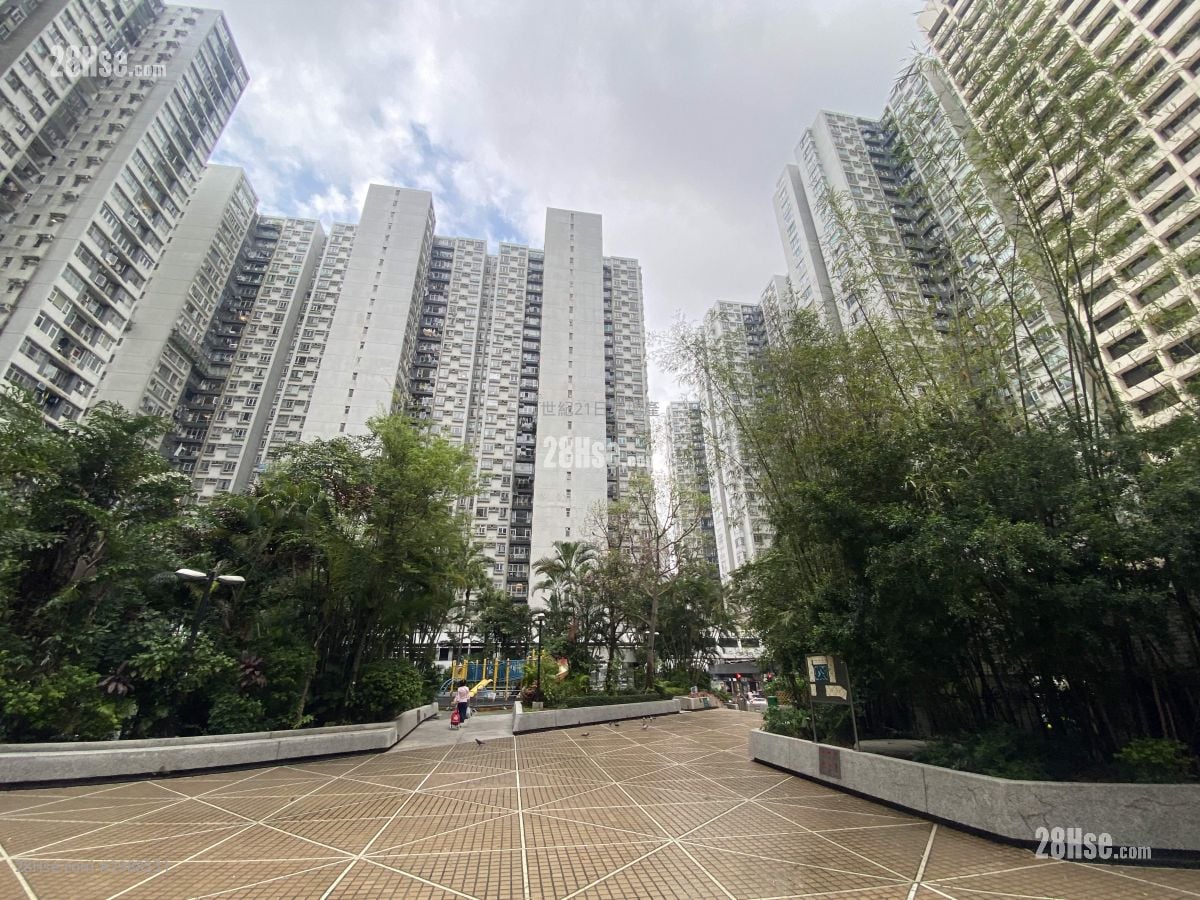 City Garden Sell 3 Bedrooms , 1 Bathroom 568 ft²