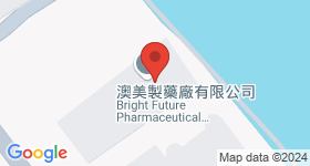 澳美制药厂(第2厂) 地图