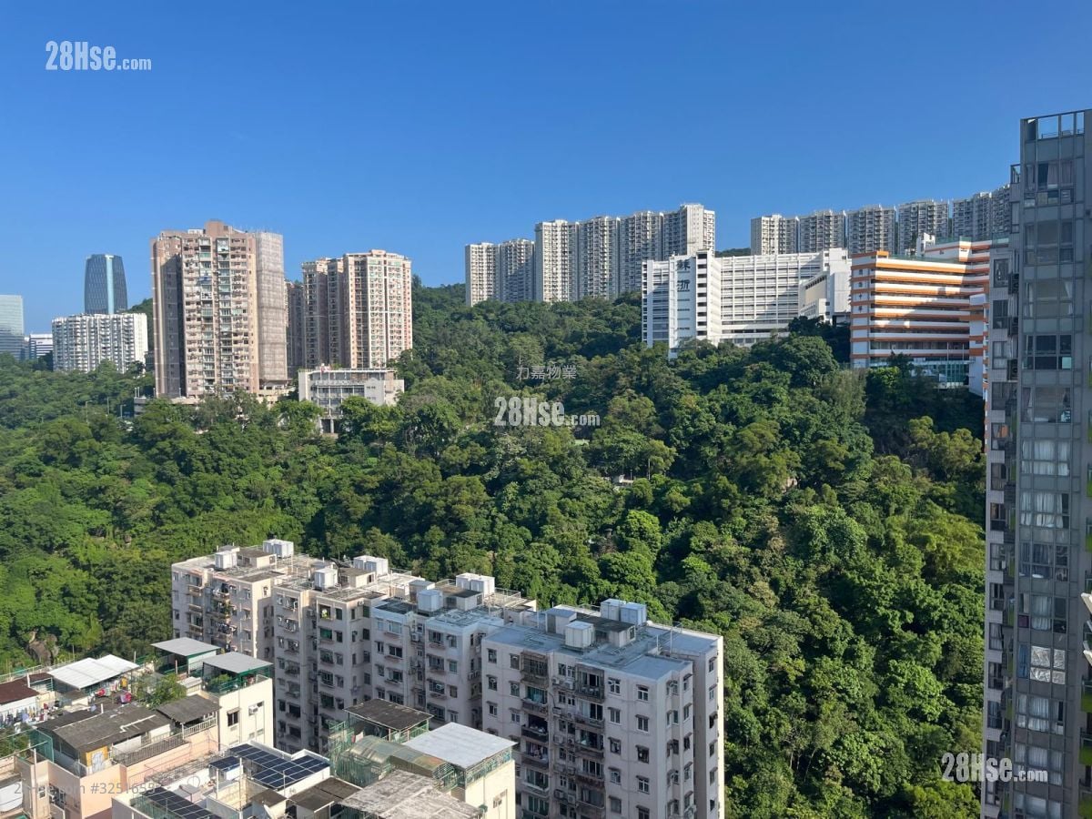 晓峯 售盘 2 房 , 2 浴室 549 平方尺