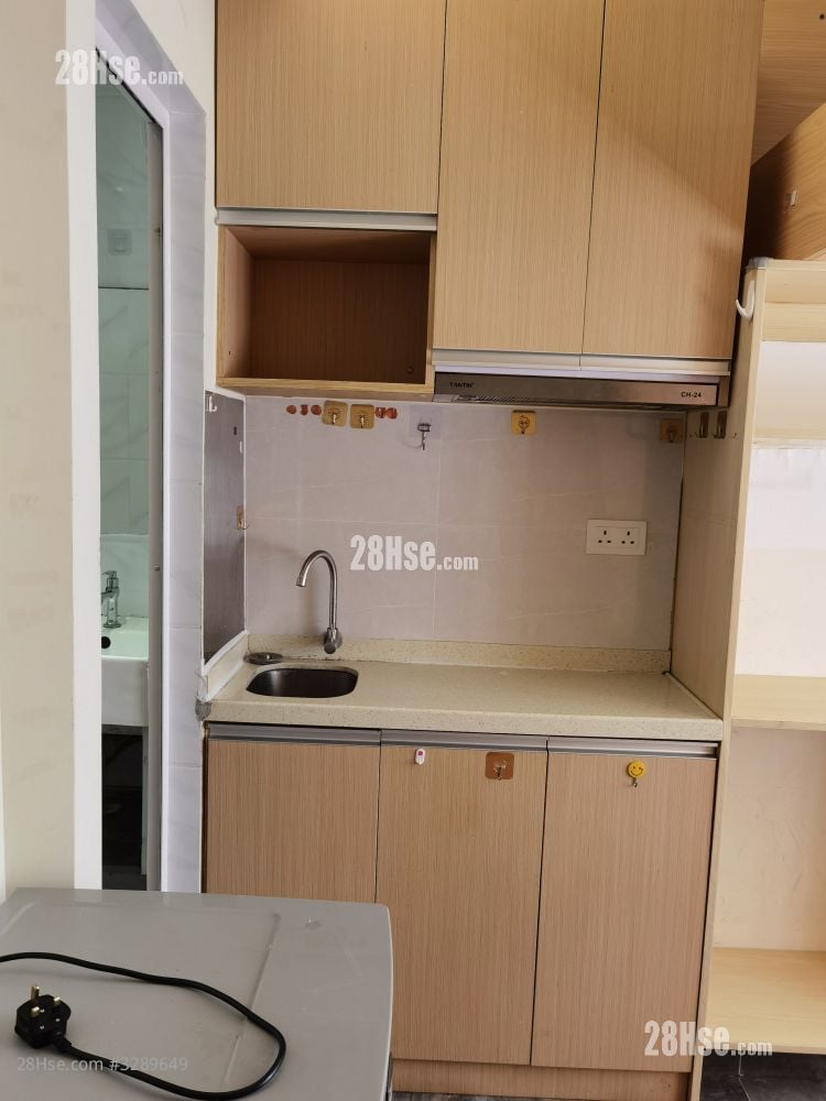 梭桠道19号 租盘 开放式间隔 , 1 浴室 100 平方尺