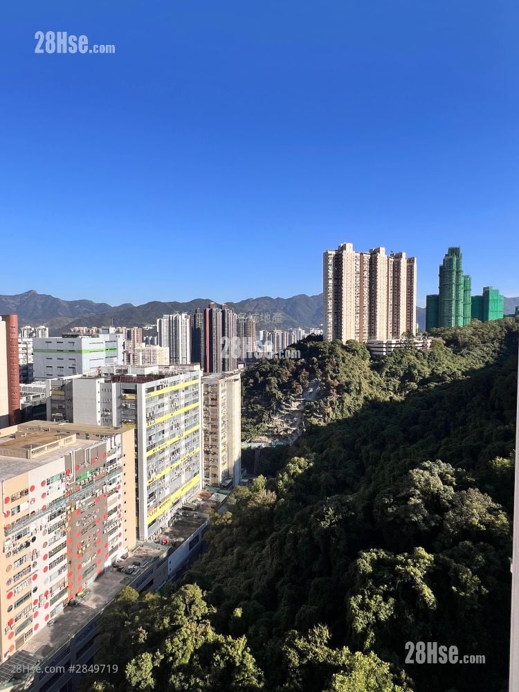 彩禾苑 售盘 3 房 , 1 浴室 607 平方尺