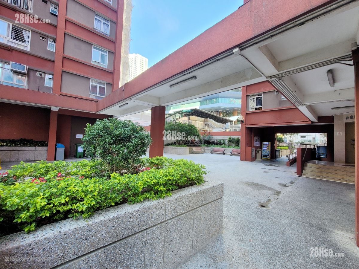 Hong Tin Court Rental 3 Bedrooms , 1 Bathroom 550 ft²