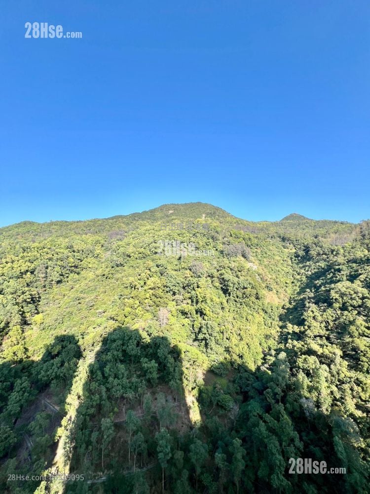 峻滢 租盘 2 房 , 1 浴室 530 平方尺