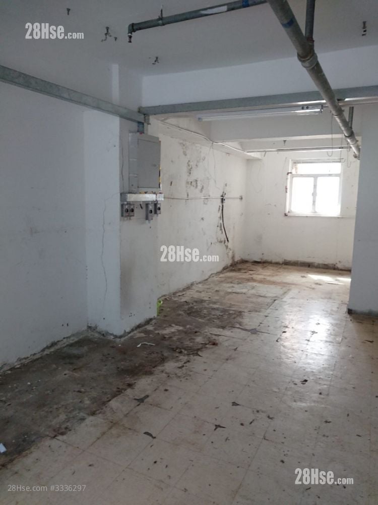 No Building Name Rental 1,600 ft²