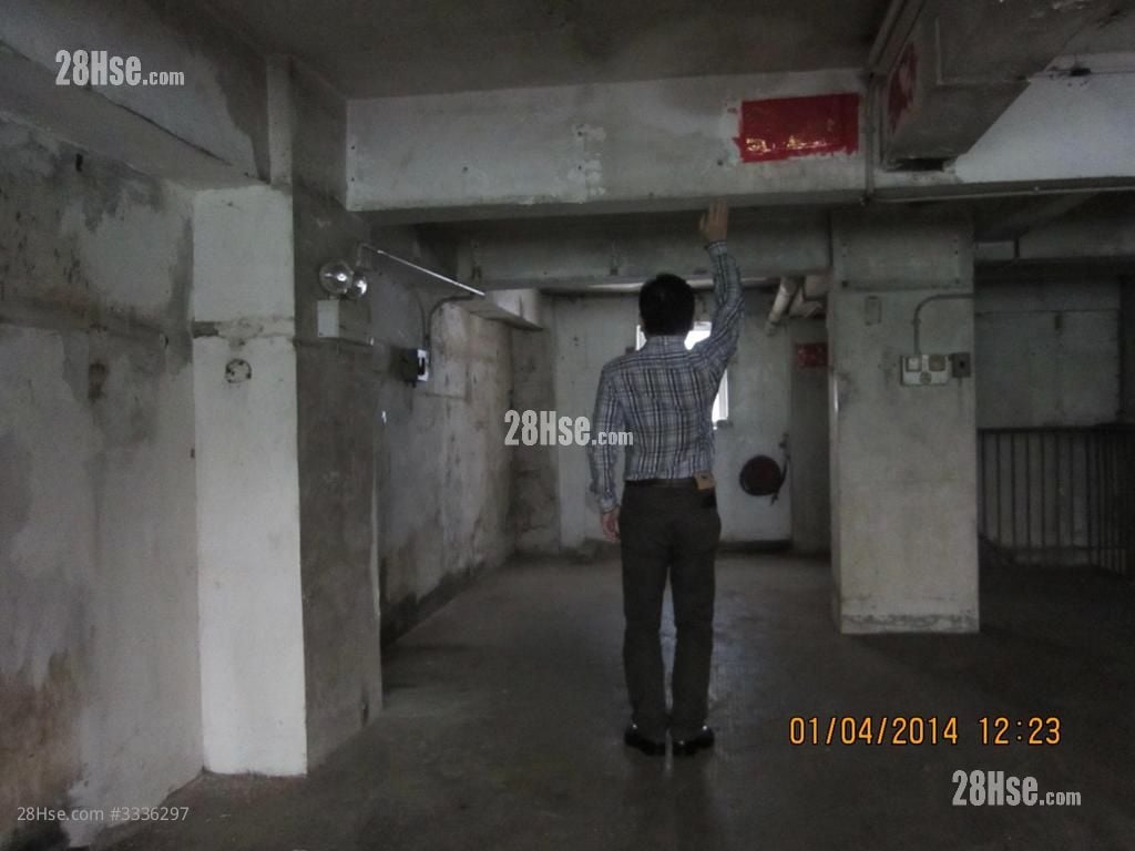 No Building Name Rental 1,600 ft²