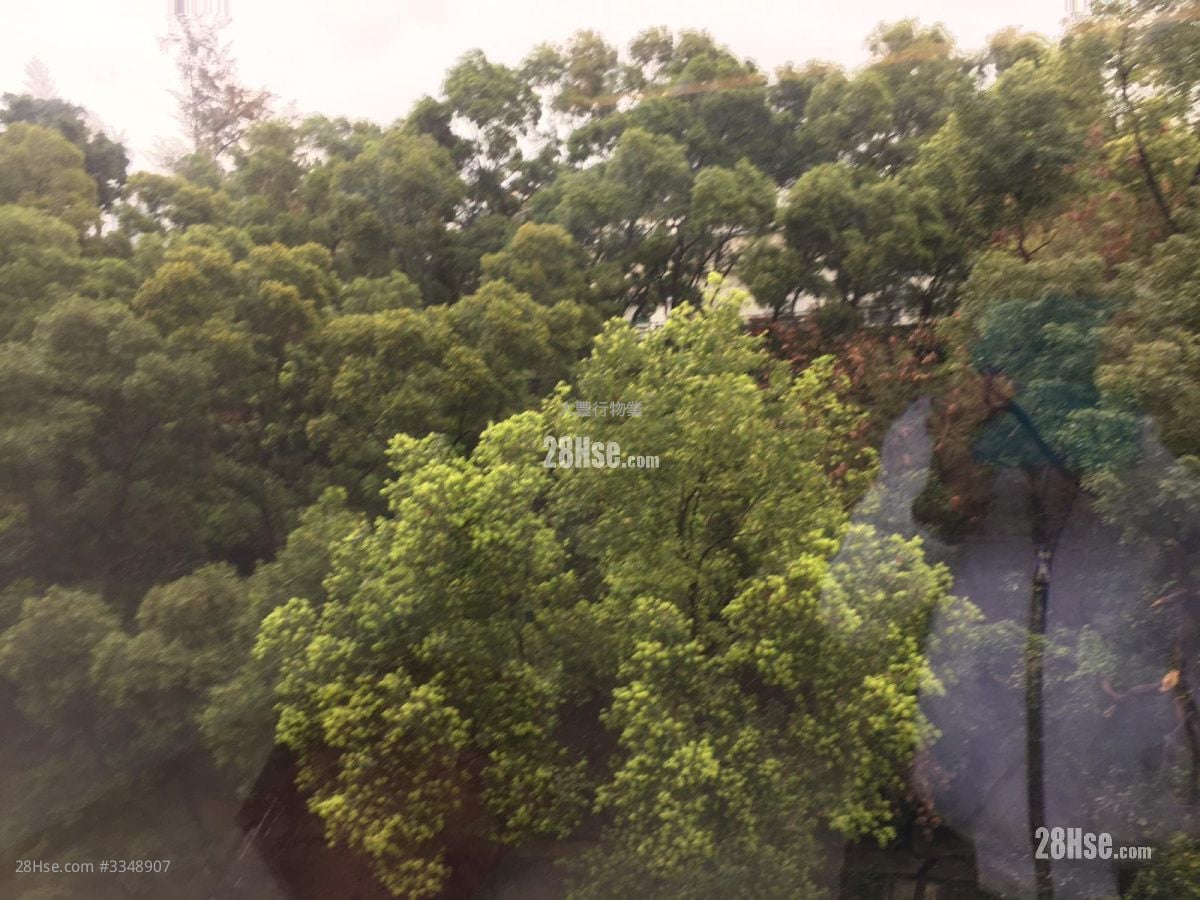 Cristallo Rental 3 Bedrooms 1,306 ft²