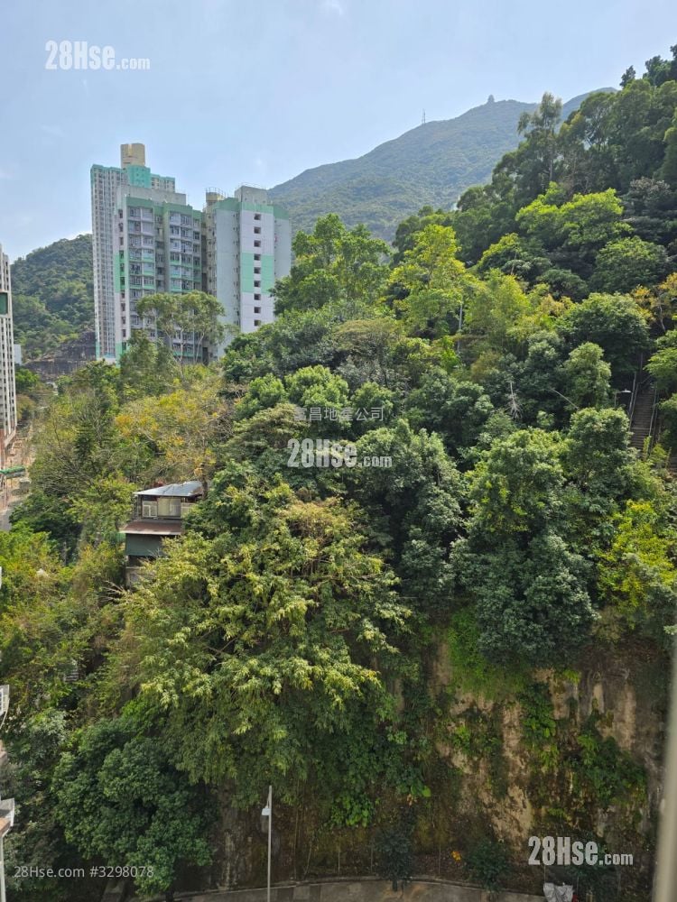 新成中心 售盘 1 房 , 1 浴室 297 平方尺