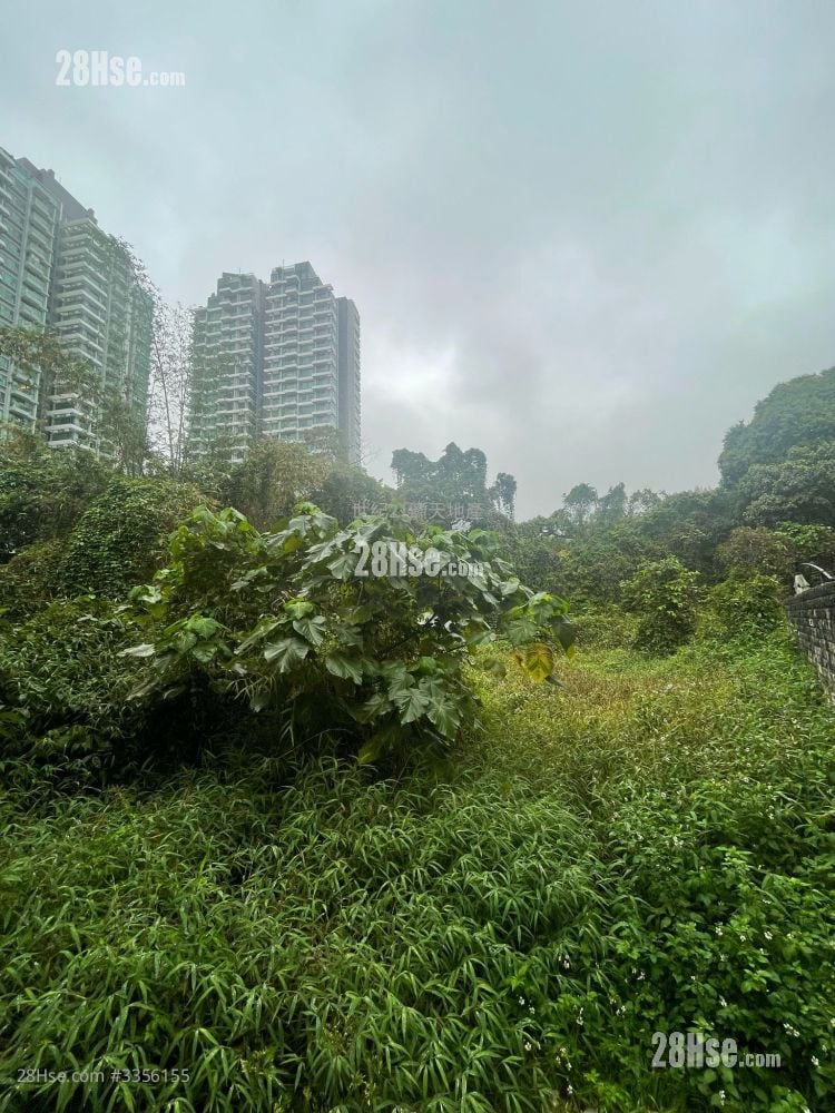 凤园 租盘 3 房 , 2 浴室 700 平方尺