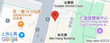 Tai Hing Building Full Thickness Address