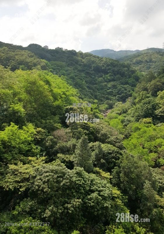 荃灣中心 售盤 2 房 329 平方呎